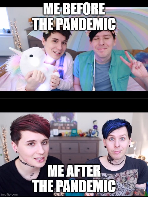fun fun fun | ME BEFORE THE PANDEMIC; ME AFTER THE PANDEMIC | image tagged in dan and phil 2 | made w/ Imgflip meme maker