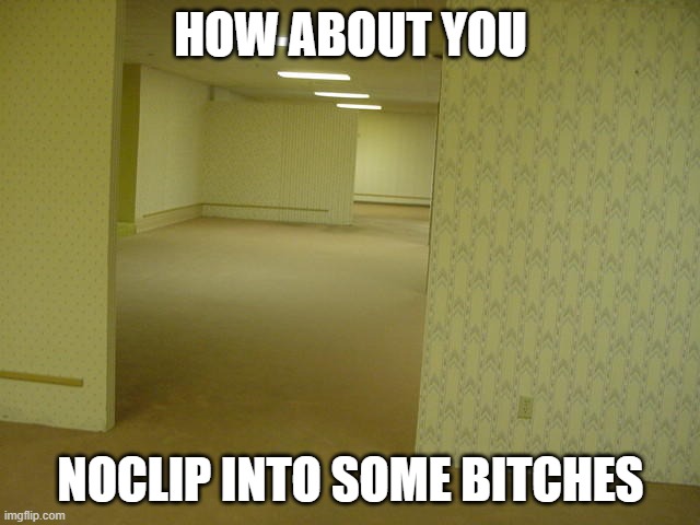 The Backrooms | HOW ABOUT YOU; NOCLIP INTO SOME BITCHES | image tagged in the backrooms | made w/ Imgflip meme maker