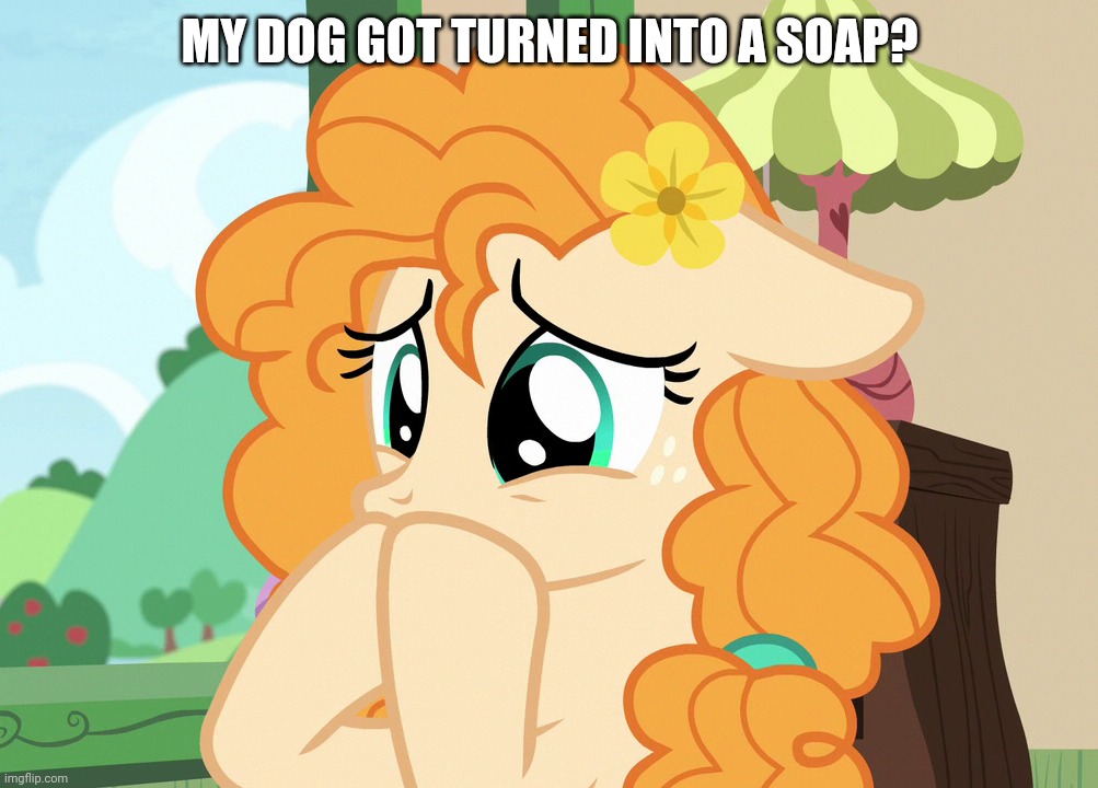 MY DOG GOT TURNED INTO A SOAP? | made w/ Imgflip meme maker