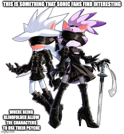 Shadow and Blaze Cosplaying as Nier Characters | THIS IS SOMETHING THAT SONIC FANS FIND INTERESTING; WHERE BEING BLINDFOLDED ALLOW THE CHARACTERS TO USE THEIR PSYCHE | image tagged in nier,sonic the hedgehog,shadow,blaze,memes | made w/ Imgflip meme maker