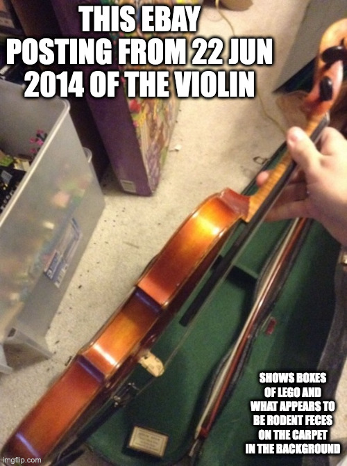 eBay Violin Photo |  THIS EBAY POSTING FROM 22 JUN 2014 OF THE VIOLIN; SHOWS BOXES OF LEGO AND WHAT APPEARS TO BE RODENT FECES ON THE CARPET IN THE BACKGROUND | image tagged in chris-chan,memes | made w/ Imgflip meme maker