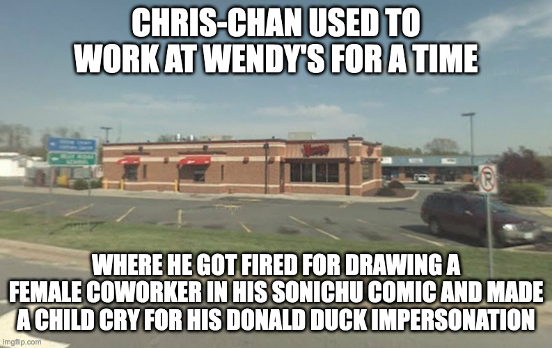 Wendy's | CHRIS-CHAN USED TO WORK AT WENDY'S FOR A TIME; WHERE HE GOT FIRED FOR DRAWING A FEMALE COWORKER IN HIS SONICHU COMIC AND MADE A CHILD CRY FOR HIS DONALD DUCK IMPERSONATION | image tagged in wendy's,memes,chris-chan | made w/ Imgflip meme maker