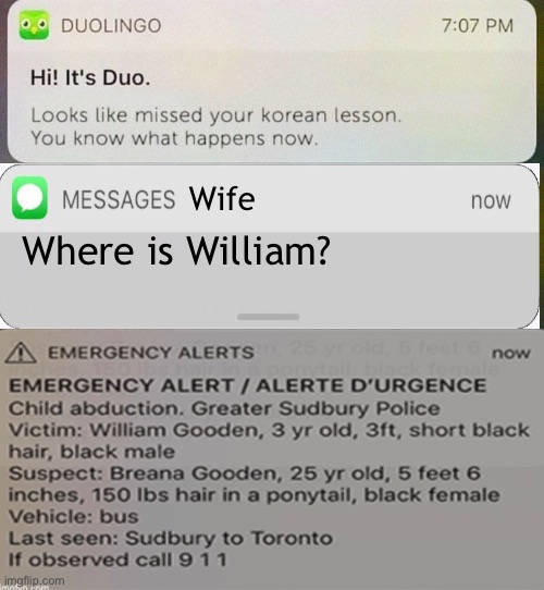 DuoLingo |  Wife; Where is William? | image tagged in duolingo | made w/ Imgflip meme maker