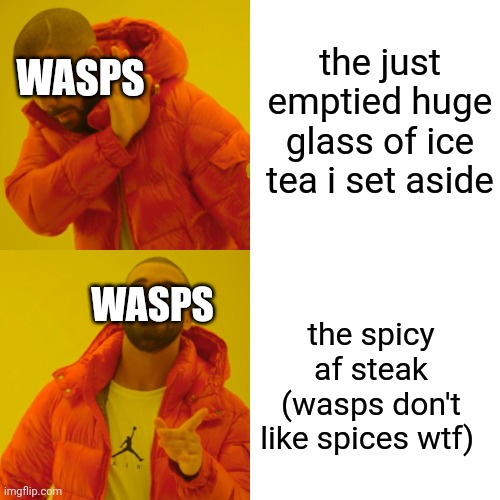drake at restaurant | the just emptied huge glass of ice tea i set aside; WASPS; WASPS; the spicy af steak (wasps don't like spices wtf) | image tagged in memes,drake hotline bling | made w/ Imgflip meme maker