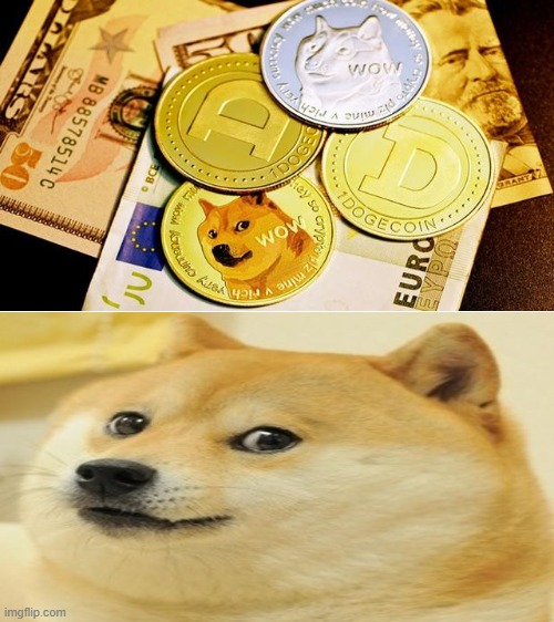 doge coin | image tagged in doge | made w/ Imgflip meme maker