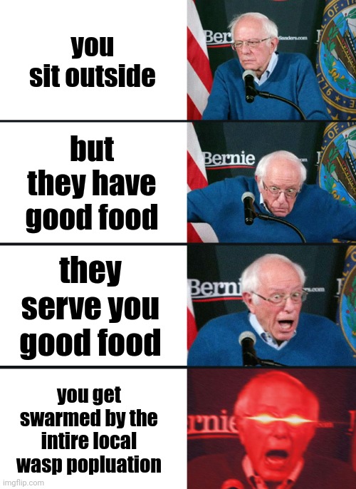 bernie at restaurant | you sit outside; but they have good food; they serve you good food; you get swarmed by the intire local wasp popluation | image tagged in bernie sanders reaction nuked | made w/ Imgflip meme maker