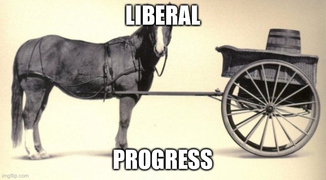 the cart before the horse | LIBERAL PROGRESS | image tagged in the cart before the horse | made w/ Imgflip meme maker