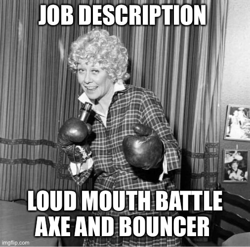 Vera | JOB DESCRIPTION; LOUD MOUTH BATTLE AXE AND BOUNCER | image tagged in funny memes,boxing,woman | made w/ Imgflip meme maker