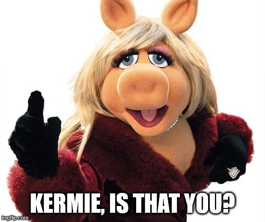 Miss Piggy | KERMIE, IS THAT YOU? | image tagged in miss piggy | made w/ Imgflip meme maker