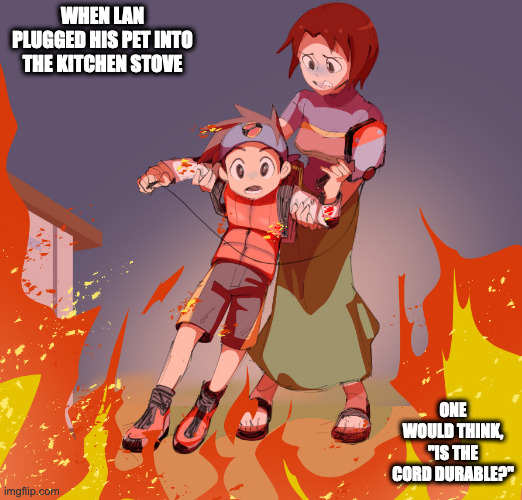 Kitchen on Fire | WHEN LAN PLUGGED HIS PET INTO THE KITCHEN STOVE; ONE WOULD THINK, "IS THE CORD DURABLE?" | image tagged in megaman,megaman battle network,lan hikari,memes | made w/ Imgflip meme maker