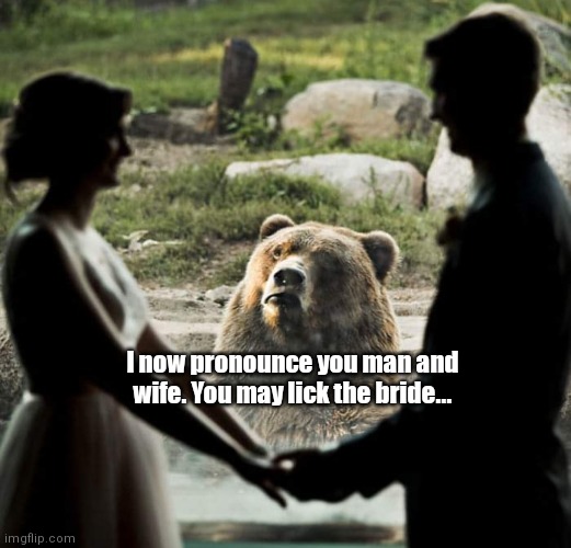 Bearblable Nuptials | I now pronounce you man and wife. You may lick the bride... | image tagged in funny | made w/ Imgflip meme maker