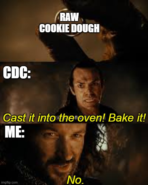 No, no I don't think I will | RAW COOKIE DOUGH; CDC:; Cast it into the oven! Bake it! ME:; No. | image tagged in lord of the rings destroy it,cookie dough,cdc | made w/ Imgflip meme maker