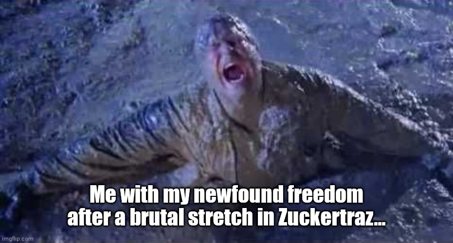 Escape From Zuckertraz | Me with my newfound freedom after a brutal stretch in Zuckertraz... | image tagged in funny | made w/ Imgflip meme maker