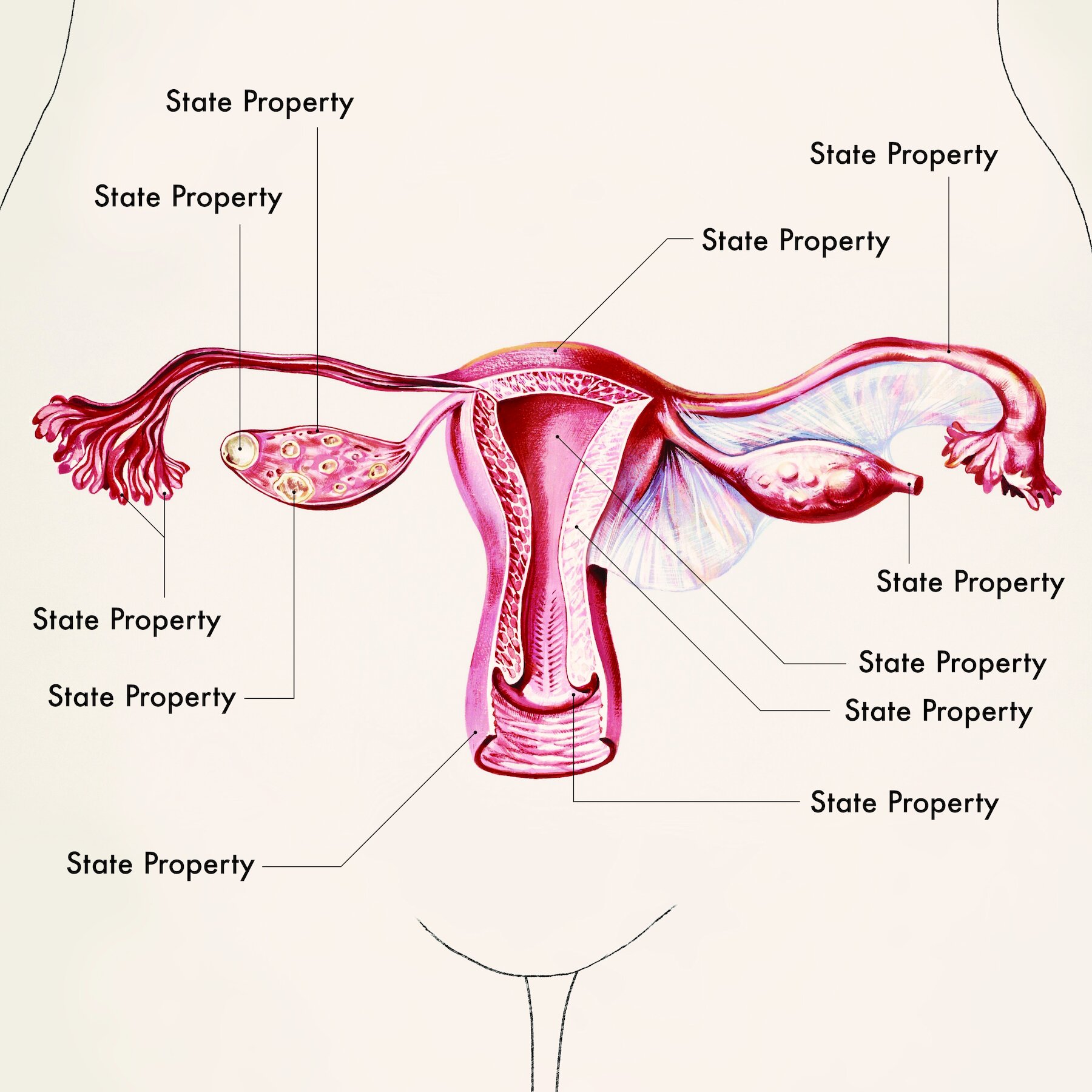 Republican anatomy Blank Meme Template