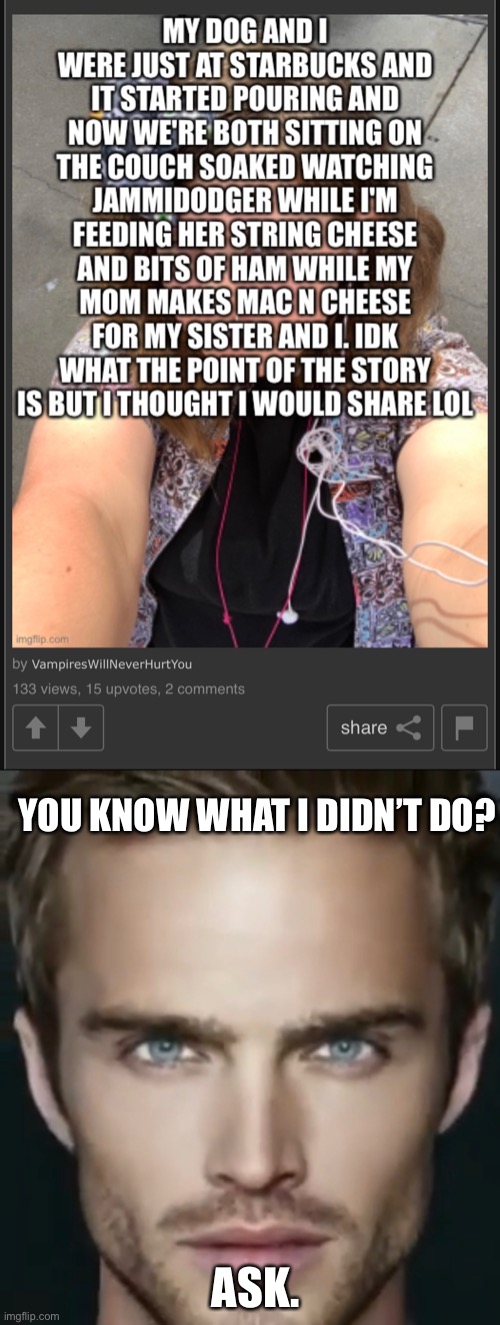 Yet another LGBTQ user on the LGBTQ stream telling a pointless story. | YOU KNOW WHAT I DIDN’T DO? ASK. | made w/ Imgflip meme maker