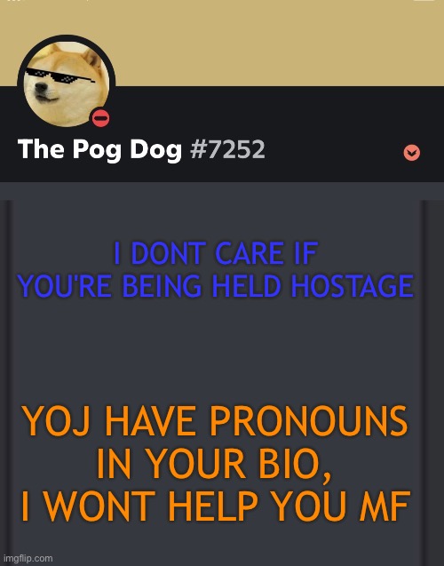 epic doggos epic discord temp | I DONT CARE IF YOU'RE BEING HELD HOSTAGE; YOJ HAVE PRONOUNS IN YOUR BIO, I WONT HELP YOU MF | image tagged in epic doggos epic discord temp | made w/ Imgflip meme maker