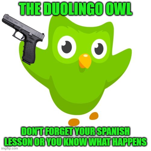 No, I don't know what happens now - and I'm not sure I want to | THE DUOLINGO OWL; DON'T FORGET YOUR SPANISH LESSON OR YOU KNOW WHAT HAPPENS | image tagged in duolingo bird,duolingo,duolingo gun,owls,owl | made w/ Imgflip meme maker