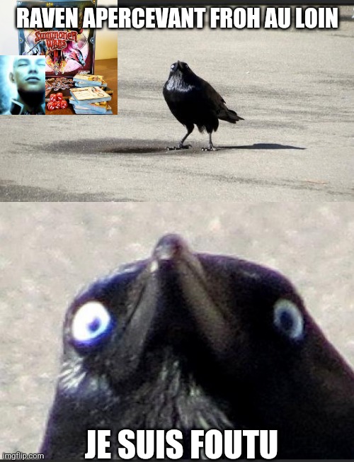 insanity crow | RAVEN APERCEVANT FROH AU LOIN; JE SUIS FOUTU | image tagged in insanity crow | made w/ Imgflip meme maker
