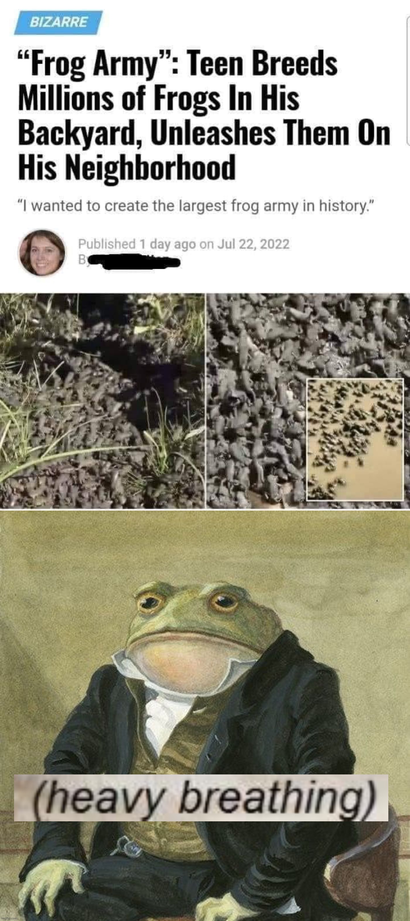 — The Secret Life of Frogs: A 69-Part Docuseries — | image tagged in frog army,gentlemen it is with great pleasure to inform you that,f,r,o,g | made w/ Imgflip meme maker