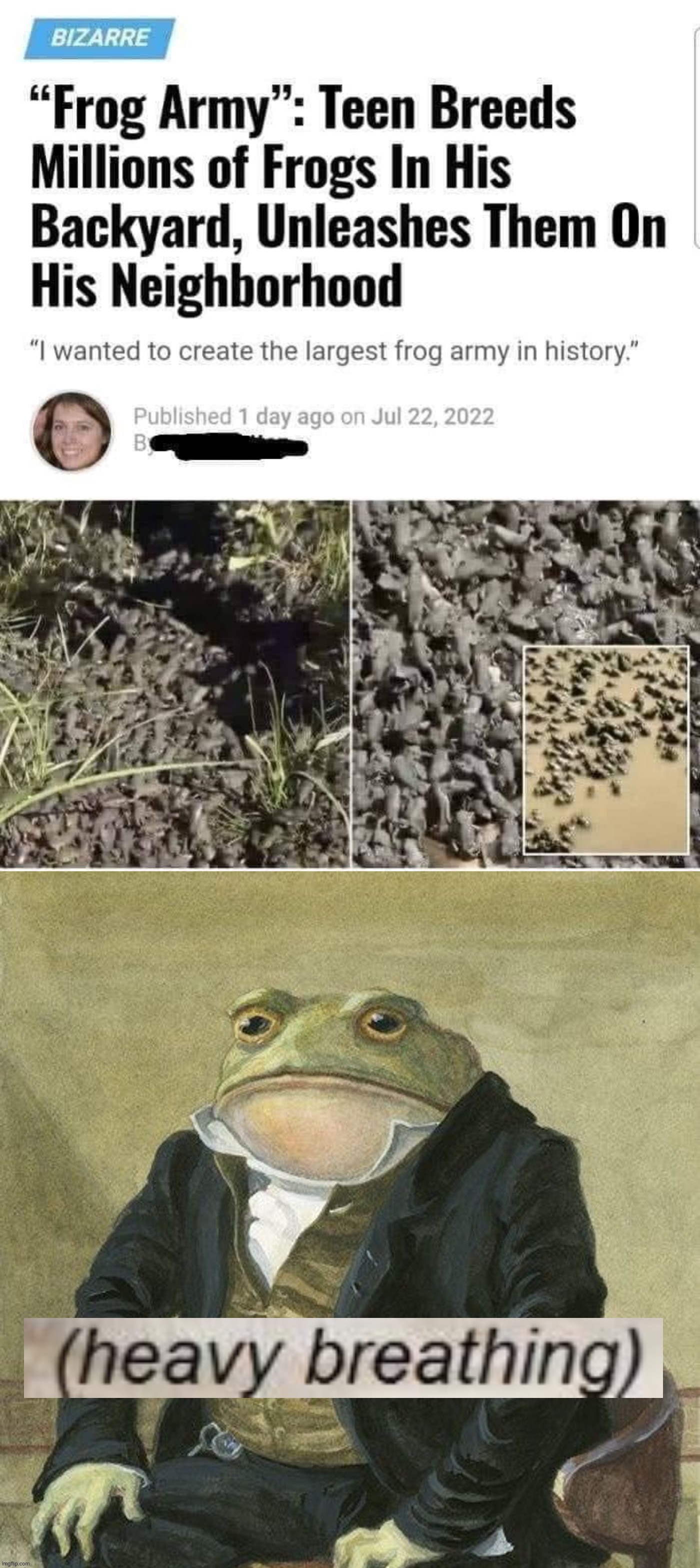 Image tagged in frog army,gentleman frog heavy breathing Imgflip