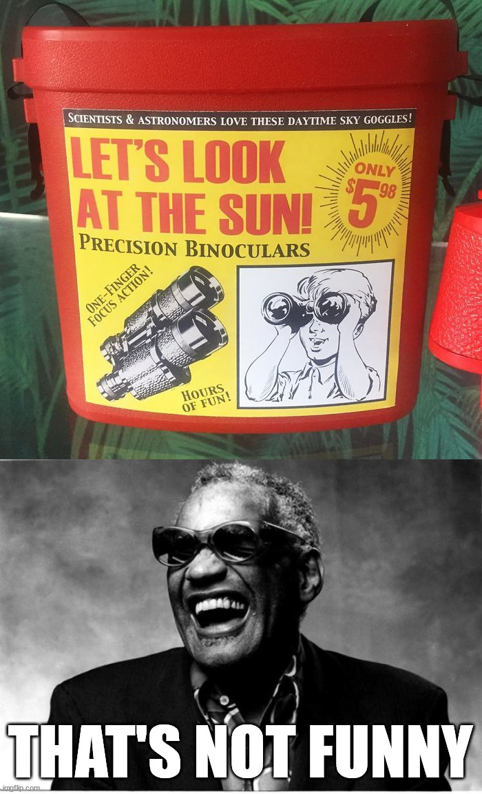 I did see what I did there | THAT'S NOT FUNNY | image tagged in ray charles,fake | made w/ Imgflip meme maker