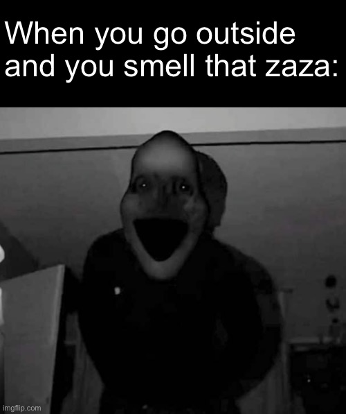 When you go outside and you smell that zaza: | image tagged in memes | made w/ Imgflip meme maker
