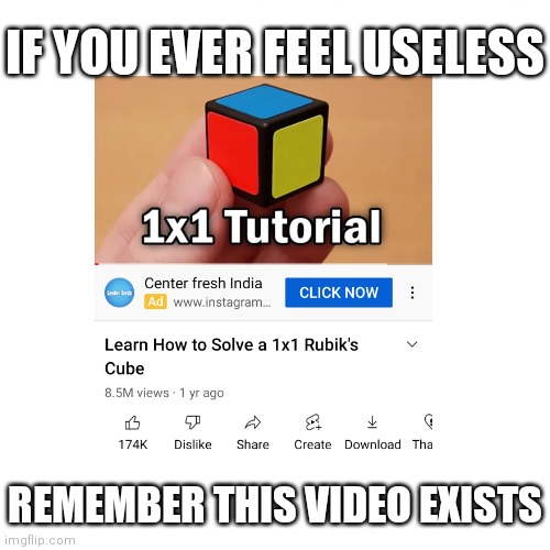 IF YOU EVER FEEL USELESS; REMEMBER THIS VIDEO EXISTS | image tagged in funny,memes,funny memes | made w/ Imgflip meme maker