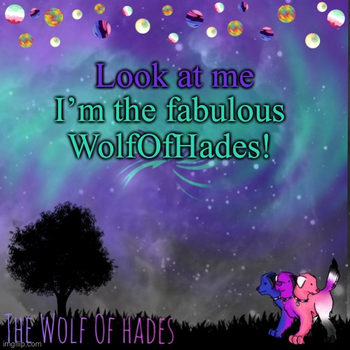 I’m Amazhang | Look at me; I’m the fabulous
WolfOfHades! | image tagged in thewolfofhades announces crap v 694201723696969 | made w/ Imgflip meme maker