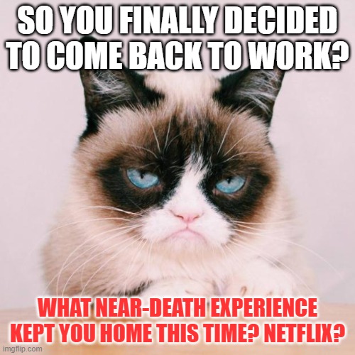 Cynical Vacation | SO YOU FINALLY DECIDED TO COME BACK TO WORK? WHAT NEAR-DEATH EXPERIENCE KEPT YOU HOME THIS TIME? NETFLIX? | image tagged in grumpy cat,netflix,sick,vacation | made w/ Imgflip meme maker