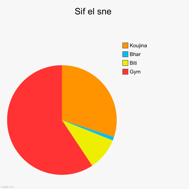 Sif | Sif el sne | Gym, Biti, Bhar, Koujina | image tagged in charts,pie charts | made w/ Imgflip chart maker