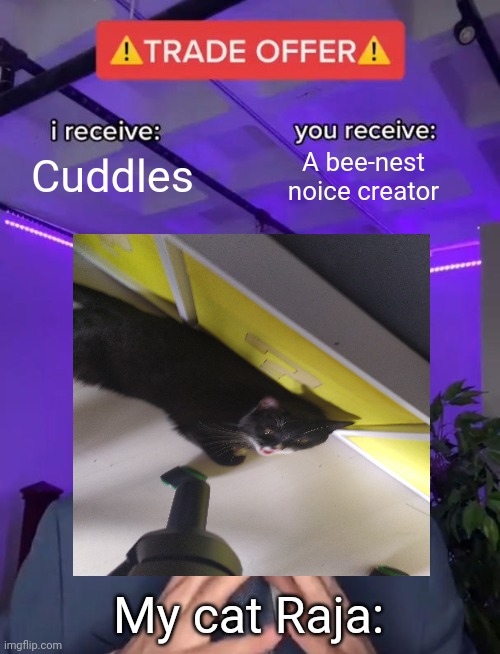 She is very noisy | Cuddles; A bee-nest noice creator; My cat Raja: | image tagged in cats | made w/ Imgflip meme maker