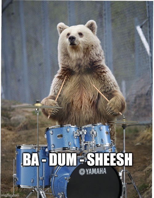 Drummer bear | BA - DUM - SHEESH | image tagged in drummer bear | made w/ Imgflip meme maker