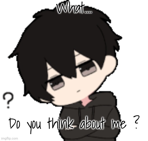 Shadow:What? | What.... Do you think about me ? | image tagged in shadow what | made w/ Imgflip meme maker