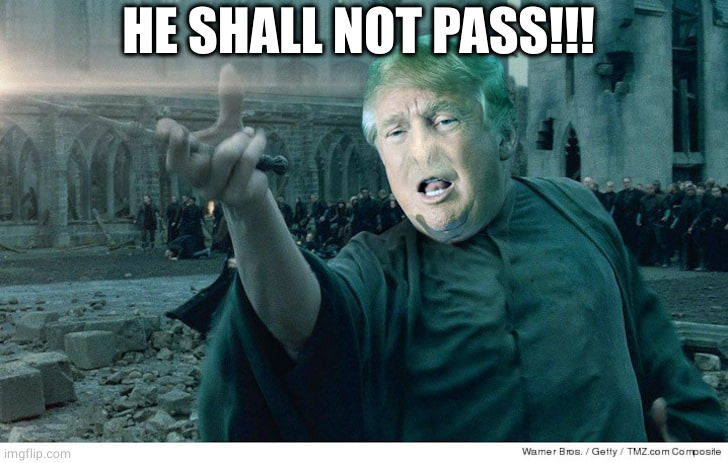 he who shall not be named | HE SHALL NOT PASS!!! | image tagged in he who shall not be named | made w/ Imgflip meme maker