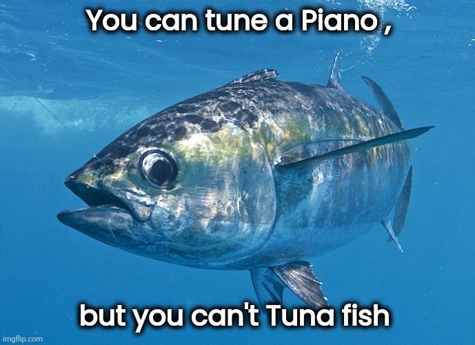Tuna fish | You can tune a Piano , but you can't Tuna fish | image tagged in tuna fish | made w/ Imgflip meme maker