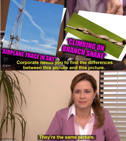 -Animalistic week. | *CLIMBING ON BRANCH SNAKE*; *AIRPLANE TRACE IN SKY* | image tagged in memes,they're the same picture,snakes on a plane,lattice climbing,totally looks like,soundcloud | made w/ Imgflip meme maker