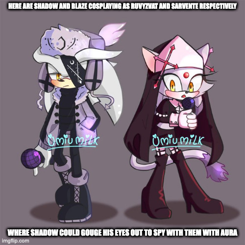 Sonic Friday Night Funkin Cosplay | HERE ARE SHADOW AND BLAZE COSPLAYING AS RUVYZVAT AND SARVENTE RESPECTIVELY; WHERE SHADOW COULD GOUGE HIS EYES OUT TO SPY WITH THEM WITH AURA | image tagged in friday night funkin,sonic the hedgehog,memes,shadow,blaze | made w/ Imgflip meme maker