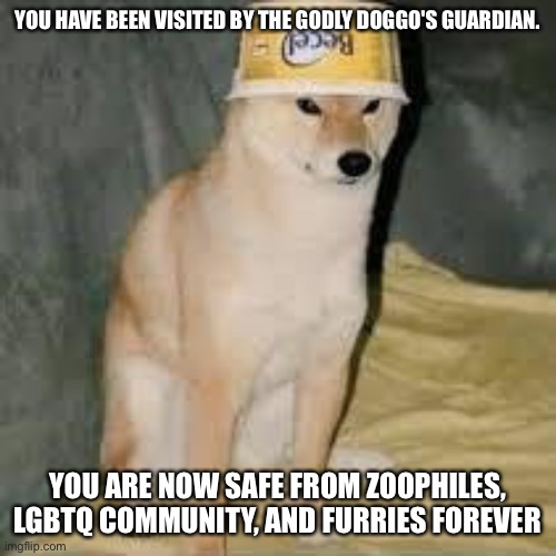 YOU HAVE BEEN VISITED BY THE GODLY DOGGO'S GUARDIAN. YOU ARE NOW SAFE FROM ZOOPHILES, LGBTQ COMMUNITY, AND FURRIES FOREVER | made w/ Imgflip meme maker
