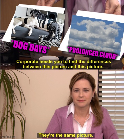 -Working command. | *DOG DAYS*; *PROLONGED CLOUD* | image tagged in memes,they're the same picture,dogs an cats,doge cloud,totally looks like,cute animals | made w/ Imgflip meme maker