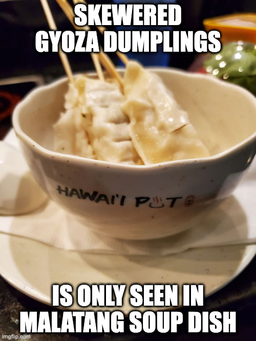 Skewered Gyoza | SKEWERED GYOZA DUMPLINGS; IS ONLY SEEN IN MALATANG SOUP DISH | image tagged in food,dumplings,memes | made w/ Imgflip meme maker