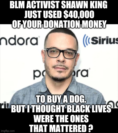 Your Donations | BLM ACTIVIST SHAWN KING 
JUST USED $40,000 OF YOUR DONATION MONEY; TO BUY A DOG.

BUT I THOUGHT BLACK LIVES WERE THE ONES THAT MATTERED ? | image tagged in blm,liberals,leftists,democrats,king,sjw | made w/ Imgflip meme maker