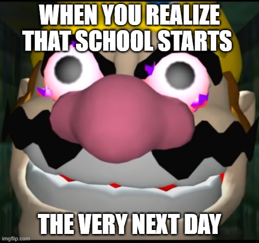 School Meme |  WHEN YOU REALIZE THAT SCHOOL STARTS; THE VERY NEXT DAY | image tagged in unhelpful high school teacher,school | made w/ Imgflip meme maker
