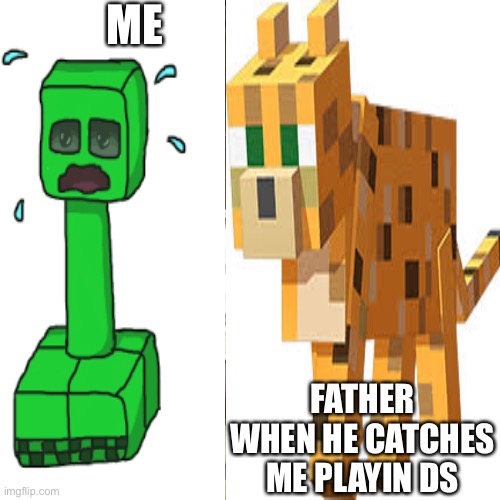 Scared creeper | ME; FATHER WHEN HE CATCHES ME PLAYIN DS | image tagged in minecraft,funny memes,why not | made w/ Imgflip meme maker