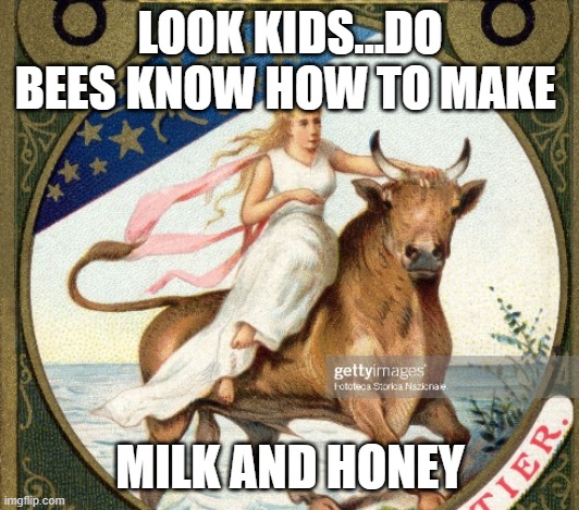 LOOK KIDS...DO BEES KNOW HOW TO MAKE MILK AND HONEY | made w/ Imgflip meme maker