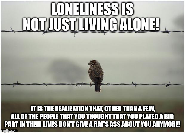 Loneliness | LONELINESS IS NOT JUST LIVING ALONE! IT IS THE REALIZATION THAT, OTHER THAN A FEW, ALL OF THE PEOPLE THAT YOU THOUGHT THAT YOU PLAYED A BIG PART IN THEIR LIVES DON'T GIVE A RAT'S ASS ABOUT YOU ANYMORE! | image tagged in lonely bird | made w/ Imgflip meme maker