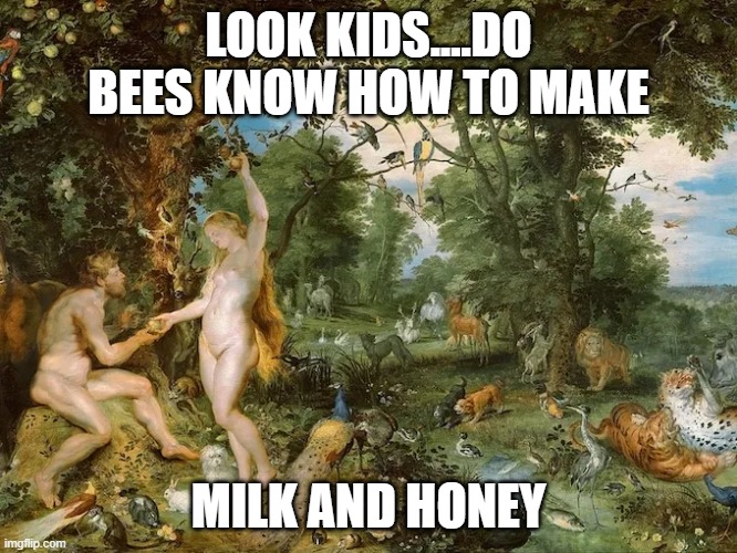 LOOK KIDS....DO BEES KNOW HOW TO MAKE MILK AND HONEY | made w/ Imgflip meme maker