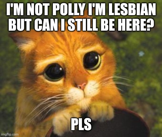 Spelling error I meant poly | I'M NOT POLLY I'M LESBIAN BUT CAN I STILL BE HERE? PLS | image tagged in cute cat from shrek | made w/ Imgflip meme maker