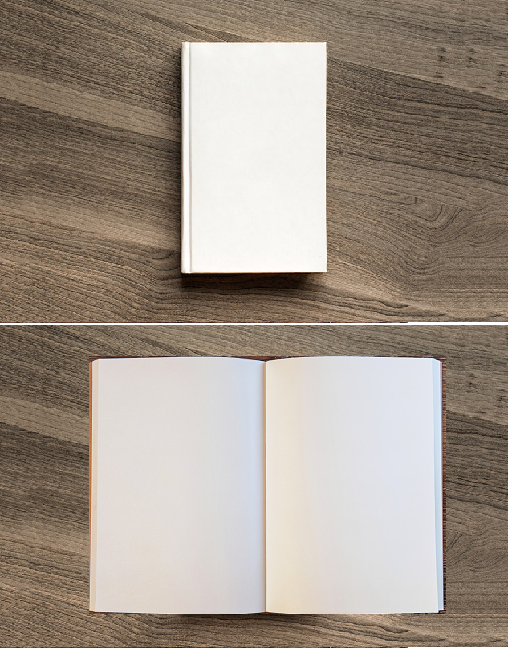 Blank Book Blank Meme Template