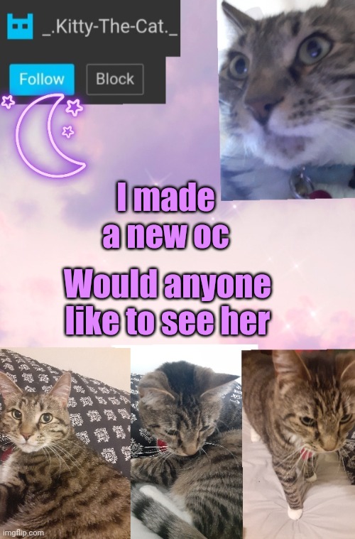 Kitty's Announcement Template | I made a new oc; Would anyone like to see her | image tagged in kitty's announcement template | made w/ Imgflip meme maker