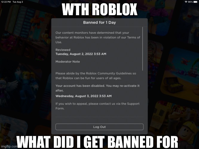 bruh | WTH ROBLOX; WHAT DID I GET BANNED FOR | image tagged in roblox,banned from roblox | made w/ Imgflip meme maker